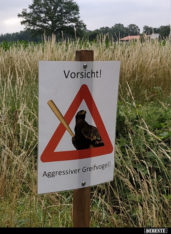 Vorsicht! Aggressiver Greifvogel!.. - Lustige Bilder | DEBESTE.de