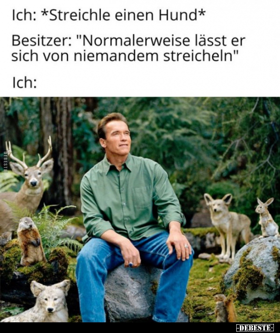 Ich: *Streichle einen Hund*...