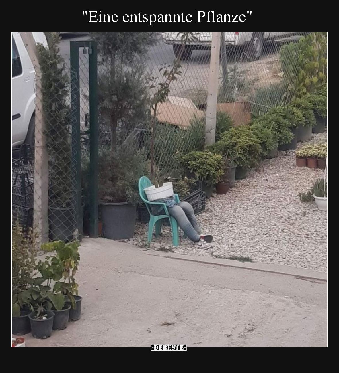 "Eine entspannte Pflanze".. - Lustige Bilder | DEBESTE.de