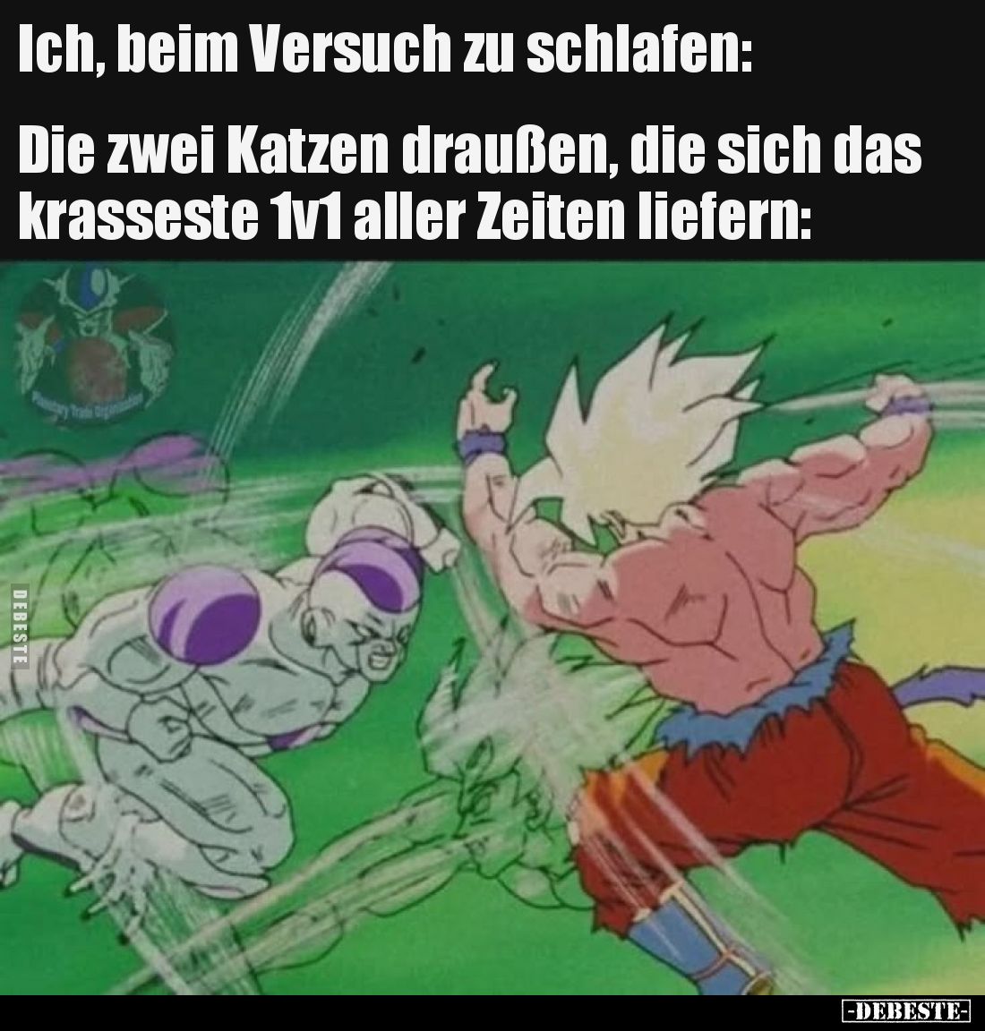 Ich, beim Versuch zu schlafen:

Die zwei Katzen draußen, die sich das krasseste 1v1 aller Zeiten liefern: