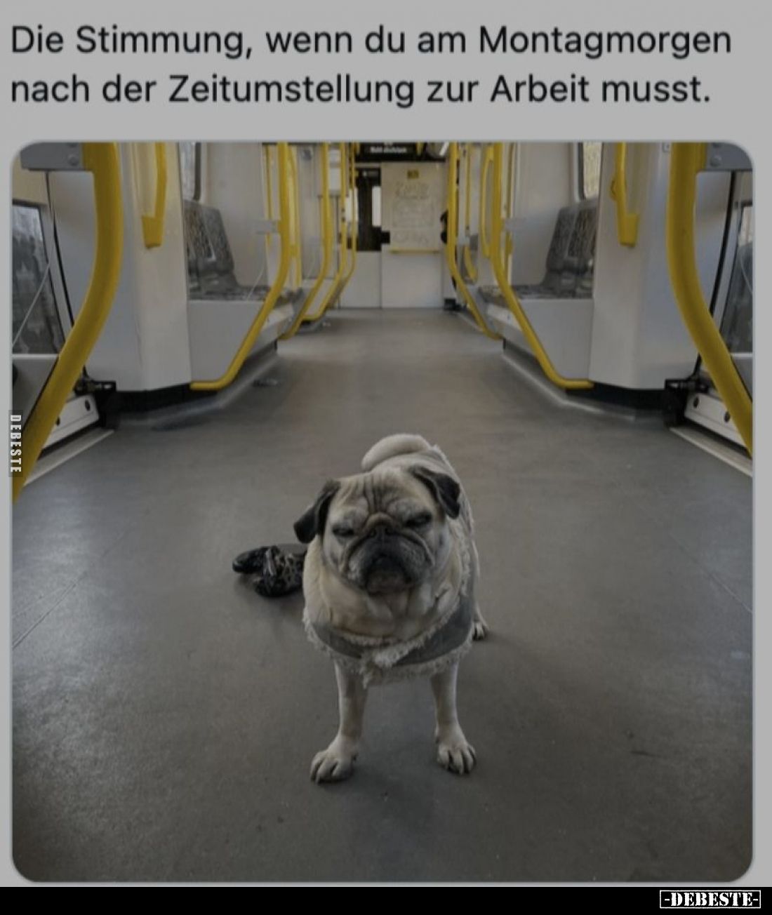 Die Stimmung, wenn du am Montagmorgen nach der Zeitumstellung zur Arbeit musst.