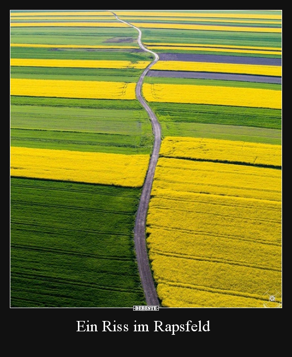 Ein Riss im Rapsfeld..