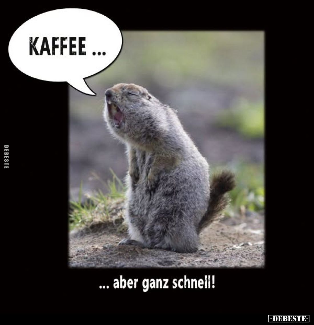 Kaffee aber ganz schnell!