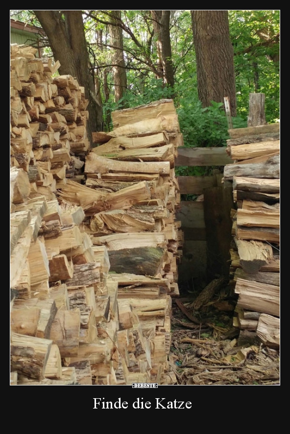 Finde die Katze..