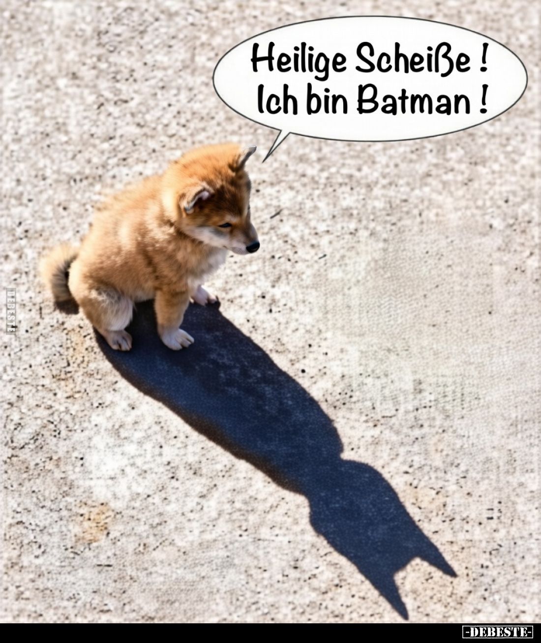 Heilige Schei*ße! Ich bin Batman!.. - Lustige Bilder | DEBESTE.de