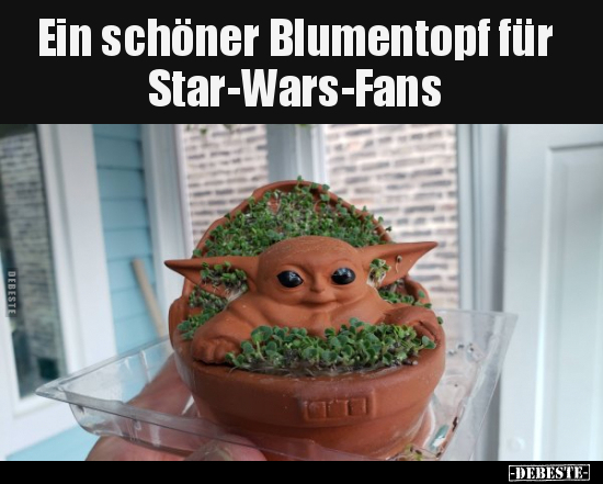 Ein schöner Blumentopf für Star-Wars-Fans..