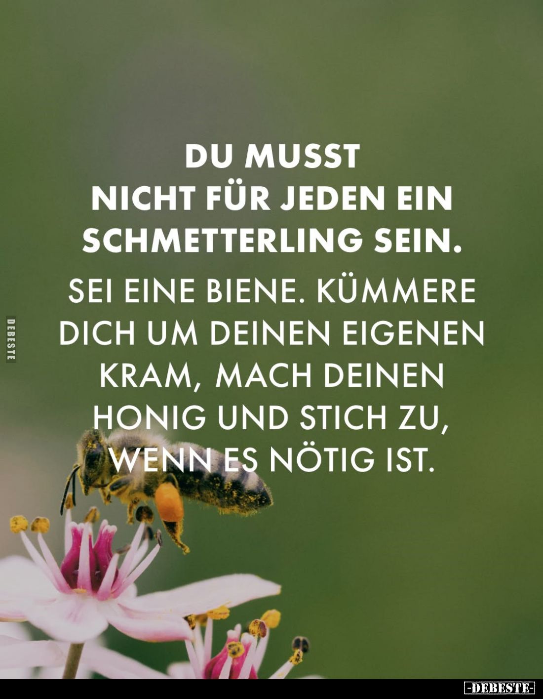 Du musst nicht für jeden ein Schmetterling sein.
Sei eine Biene.
Kümmere dich um deinen eigenen Kram, mach deinen Honig und...