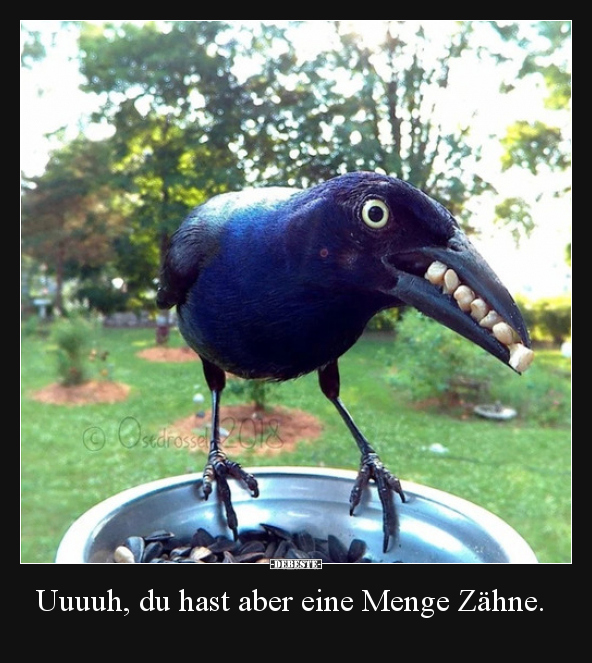 Uuuuh, du hast aber eine Menge Zähne...