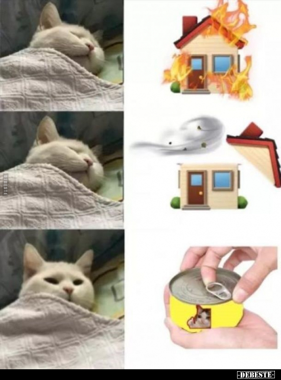  - Lustige Bilder | DEBESTE.de