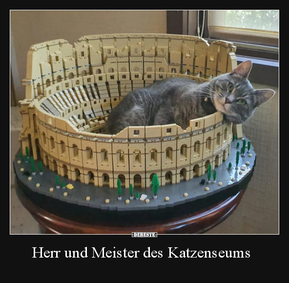 Herr und Meister des Katzenseums.. - Lustige Bilder | DEBESTE.de