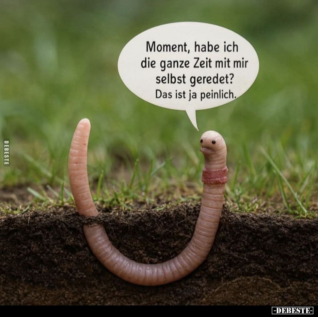 Moment, habe ich die ganze Zeit mit mir selbst geredet? Das ist ja peinlich.