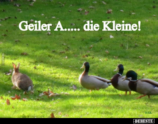 Geiler A..... die Kleine!.. - Lustige Bilder | DEBESTE.de