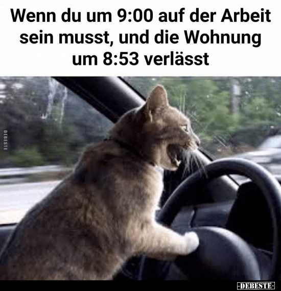 Wenn du um 9:00 auf der Arbeit sein musst, und die Wohnung.. - Lustige Bilder | DEBESTE.de