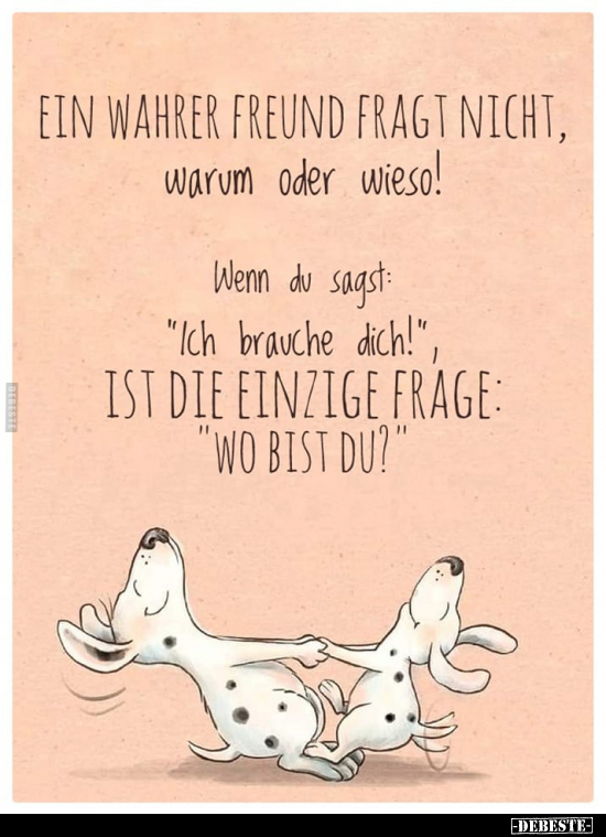 Ein wahrer Freund fragt nicht.. - Lustige Bilder | DEBESTE.de