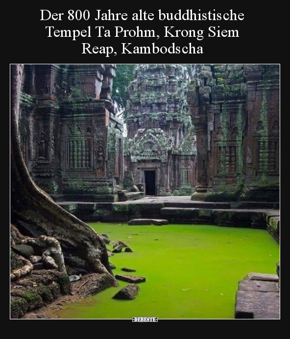 Der 800 Jahre alte buddhistische Tempel Ta Prohm, Krong Siem Reap, Kambodscha