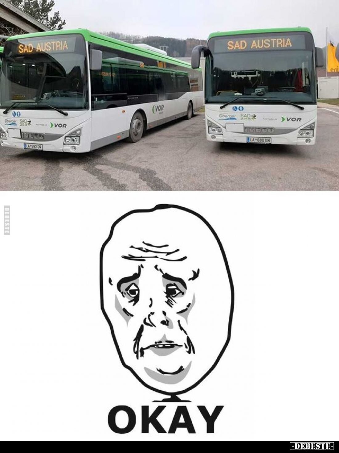  - Lustige Bilder | DEBESTE.de