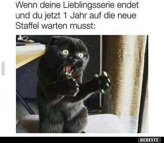 Wenn deine Lieblingsserie endet und du jetzt 1 Jahr auf die..