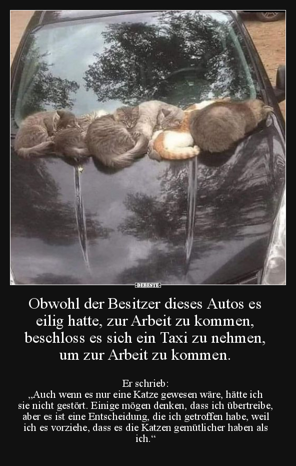 Obwohl der Besitzer dieses Autos es eilig hatte, zur.. - Lustige Bilder | DEBESTE.de