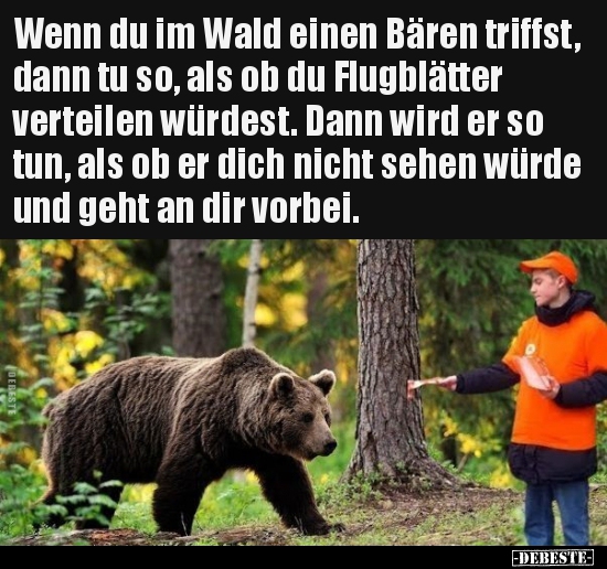 Wenn du im Wald einen Bären triffst, dann tu so, als ob du.. - Lustige Bilder | DEBESTE.de