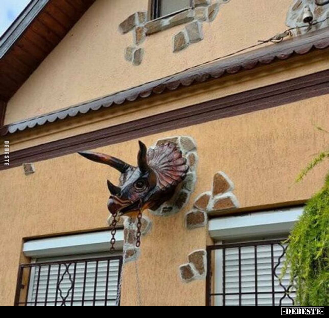  - Lustige Bilder | DEBESTE.de