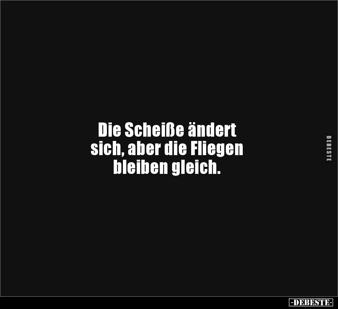 Die Scheiße ändert
sich, aber die Fliegen
bleiben gleich.
