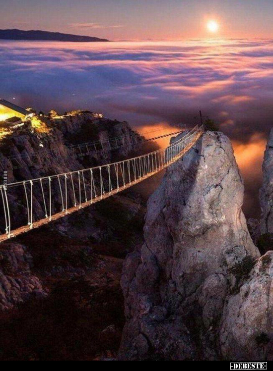  - Lustige Bilder | DEBESTE.de