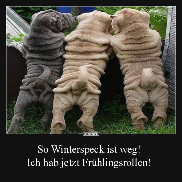 So Winterspeck ist weg! - Lustige Bilder | DEBESTE.de