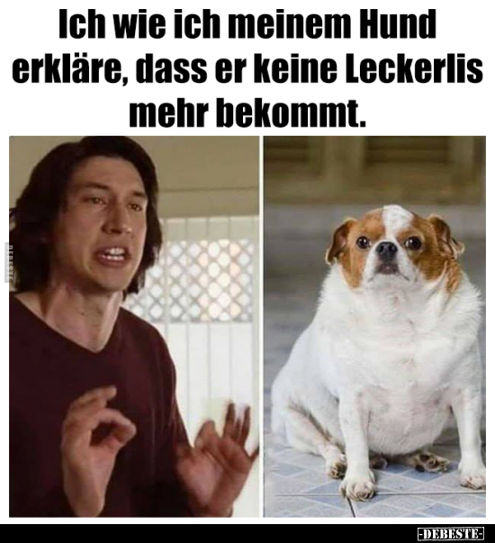 Ich wie ich meinem Hund erkläre, dass er keine Leckerlis.. - Lustige Bilder | DEBESTE.de