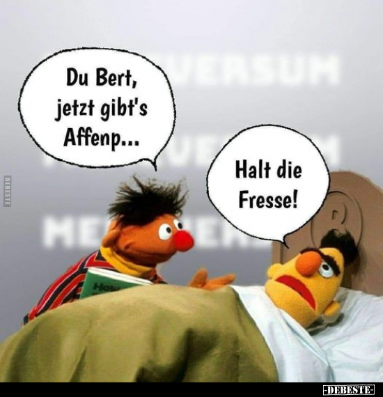 Du Bert, jetzt gibt's Affenp... - Lustige Bilder | DEBESTE.de