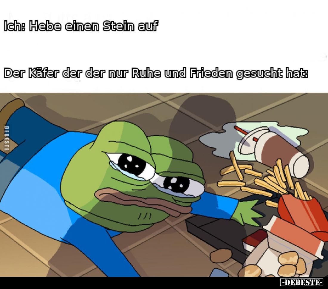 Ich: Hebe einen Stein auf.
Der Käfer der der nur Ruhe und Frieden gesucht hat: