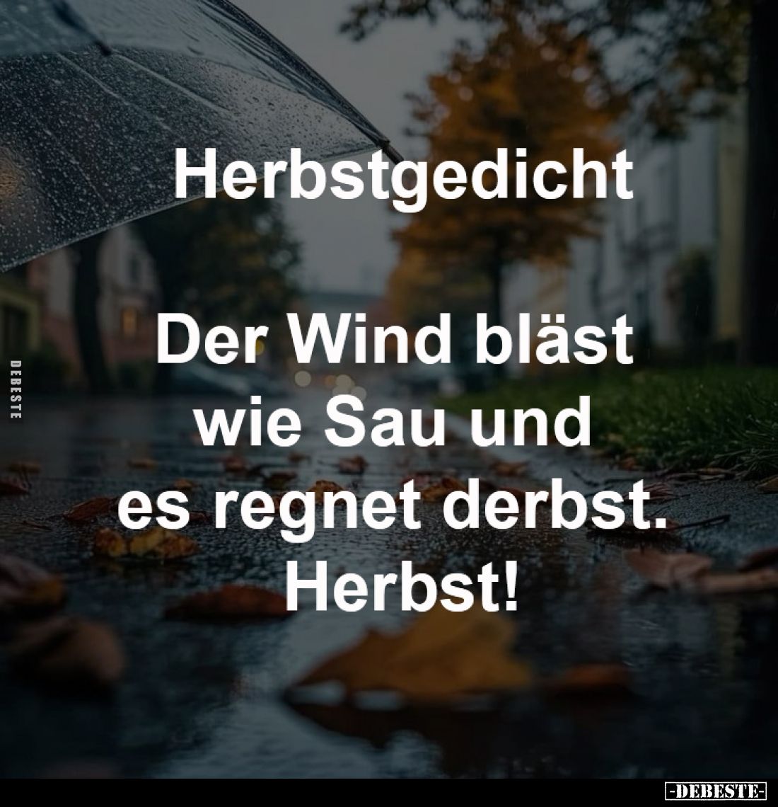Herbstgedicht:
Der Wind bläst
wie Sau und
es regnet derbst.
Herbst!