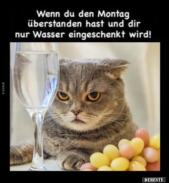 Wenn du den Montag überstanden hast und dir nur Wasser.. - Lustige Bilder | DEBESTE.de
