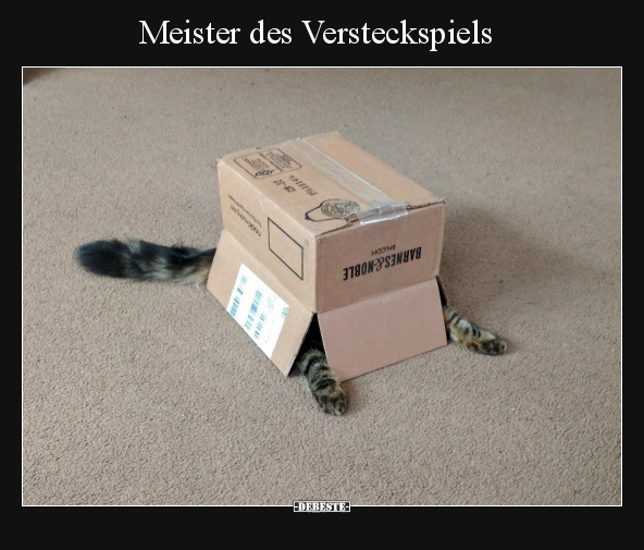 Meister des Versteckspiels.. - Lustige Bilder | DEBESTE.de