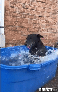 Hat sichtlich Freude und Spaß..