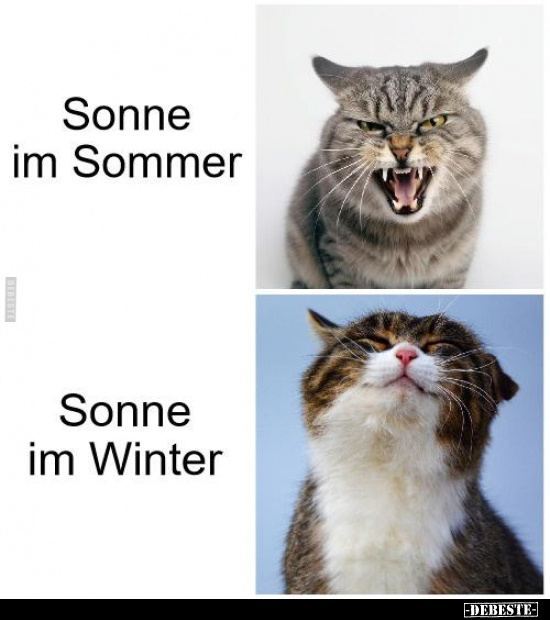 Sonne im Sommer - Sonne im Winter... - Lustige Bilder | DEBESTE.de