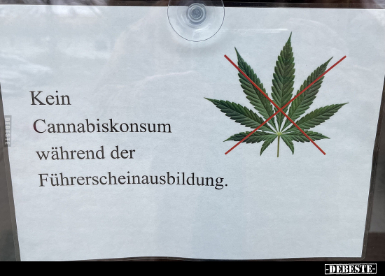 Kein Cannabiskonsum während der Führerscheinausbildung... - Lustige Bilder | DEBESTE.de