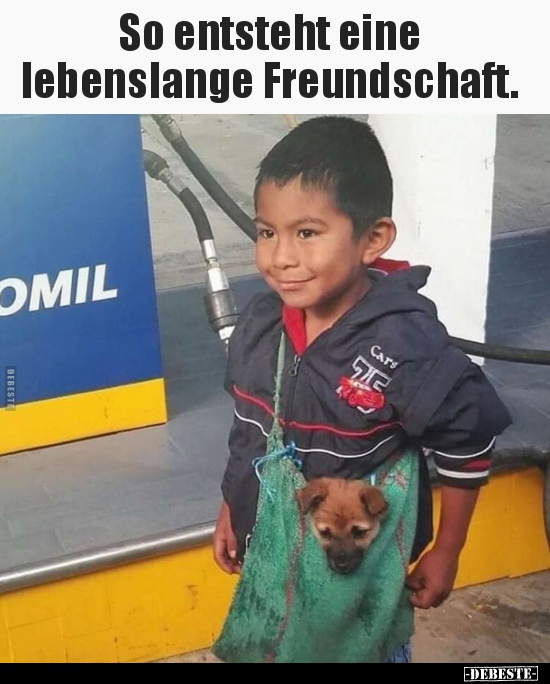 So entsteht eine lebenslange Freundschaft... - Lustige Bilder | DEBESTE.de