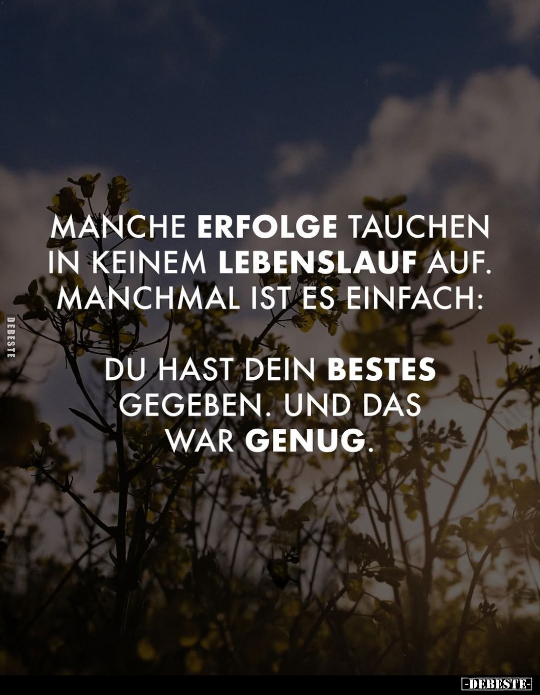 Manche Erfolge tauchen in keinem Lebenslauf auf. Manchmal ist es einfach:
Du hast dein Bestes gegeben. Und das war genug.