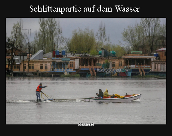 Schlittenpartie auf dem Wasser.. - Lustige Bilder | DEBESTE.de