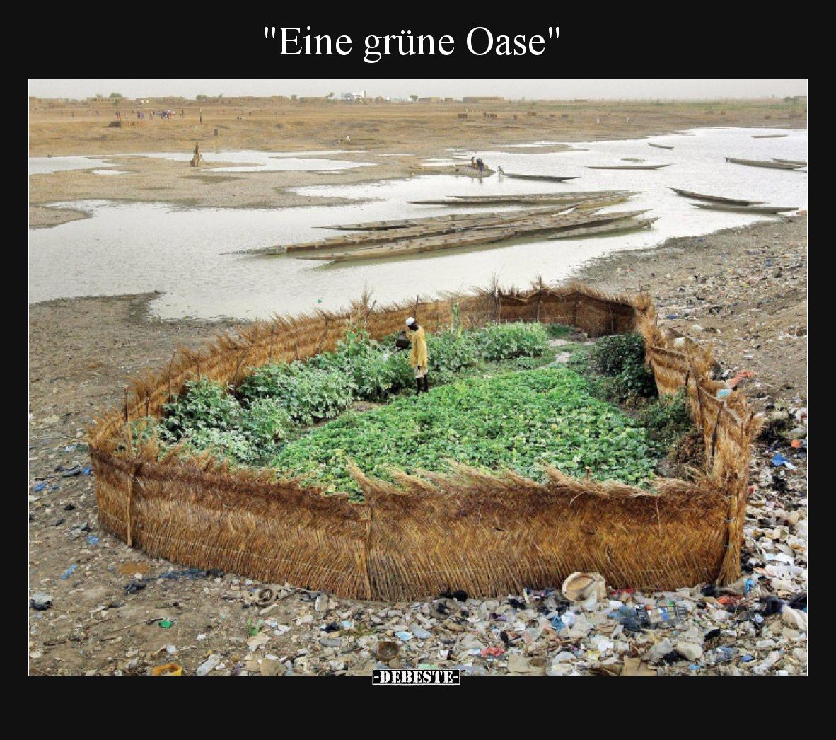Eine grüne Oase