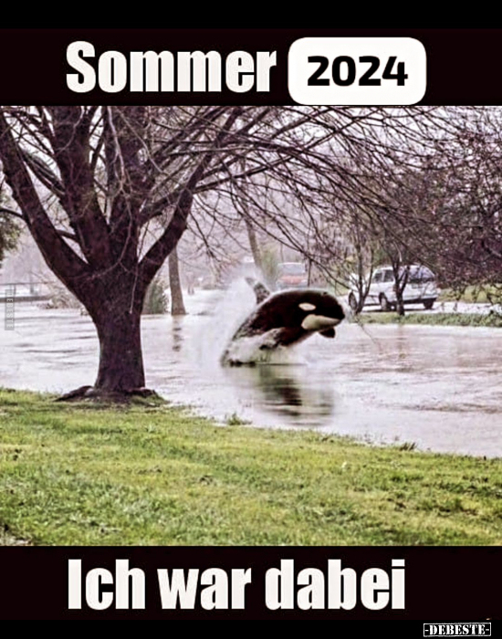 Sommer 2024.. - Lustige Bilder | DEBESTE.de