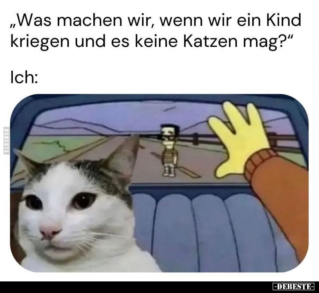 „Was machen wir, wenn wir ein Kind kriegen und es keine Katzen mag?" Ich: