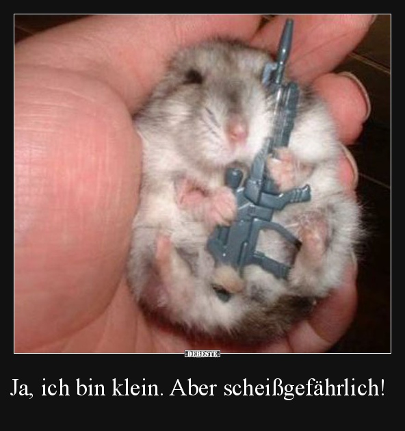 Ja, ich bin klein. Aber scheißgefährlich!