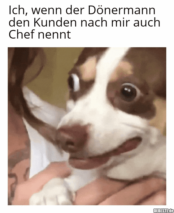 Ich, wenn der Dönermann den Kunden nach mir auch Chef nennt..