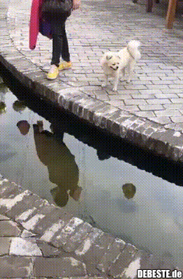 Bin doch nicht blöd..