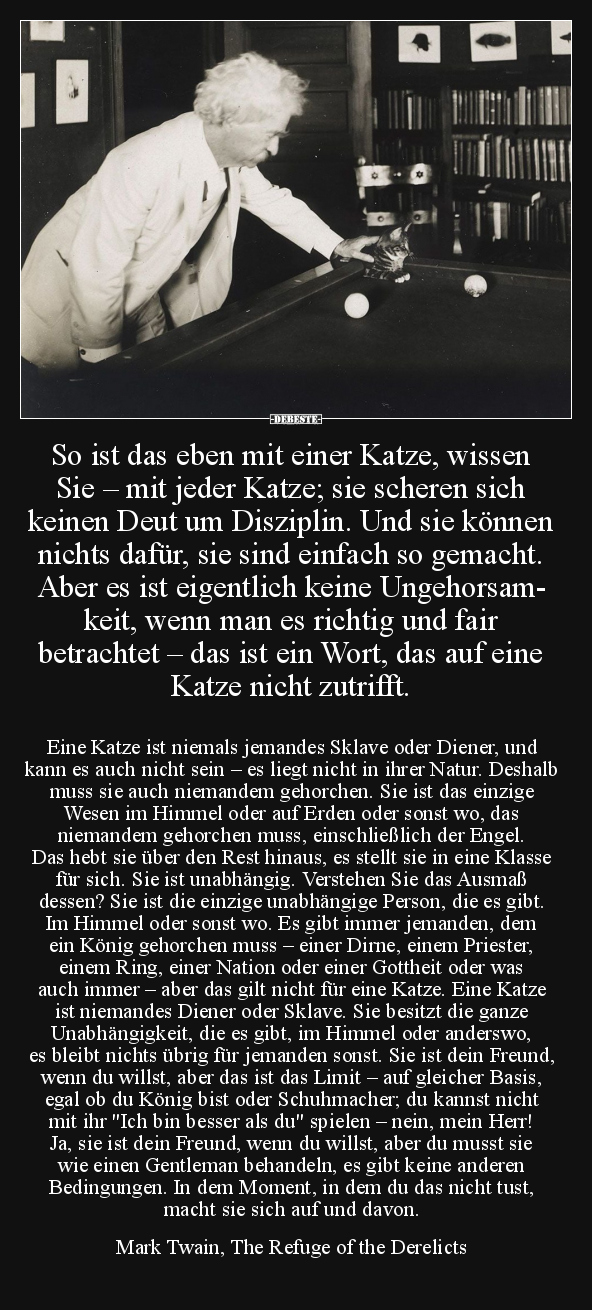 So ist das eben mit einer Katze.. - Lustige Bilder | DEBESTE.de