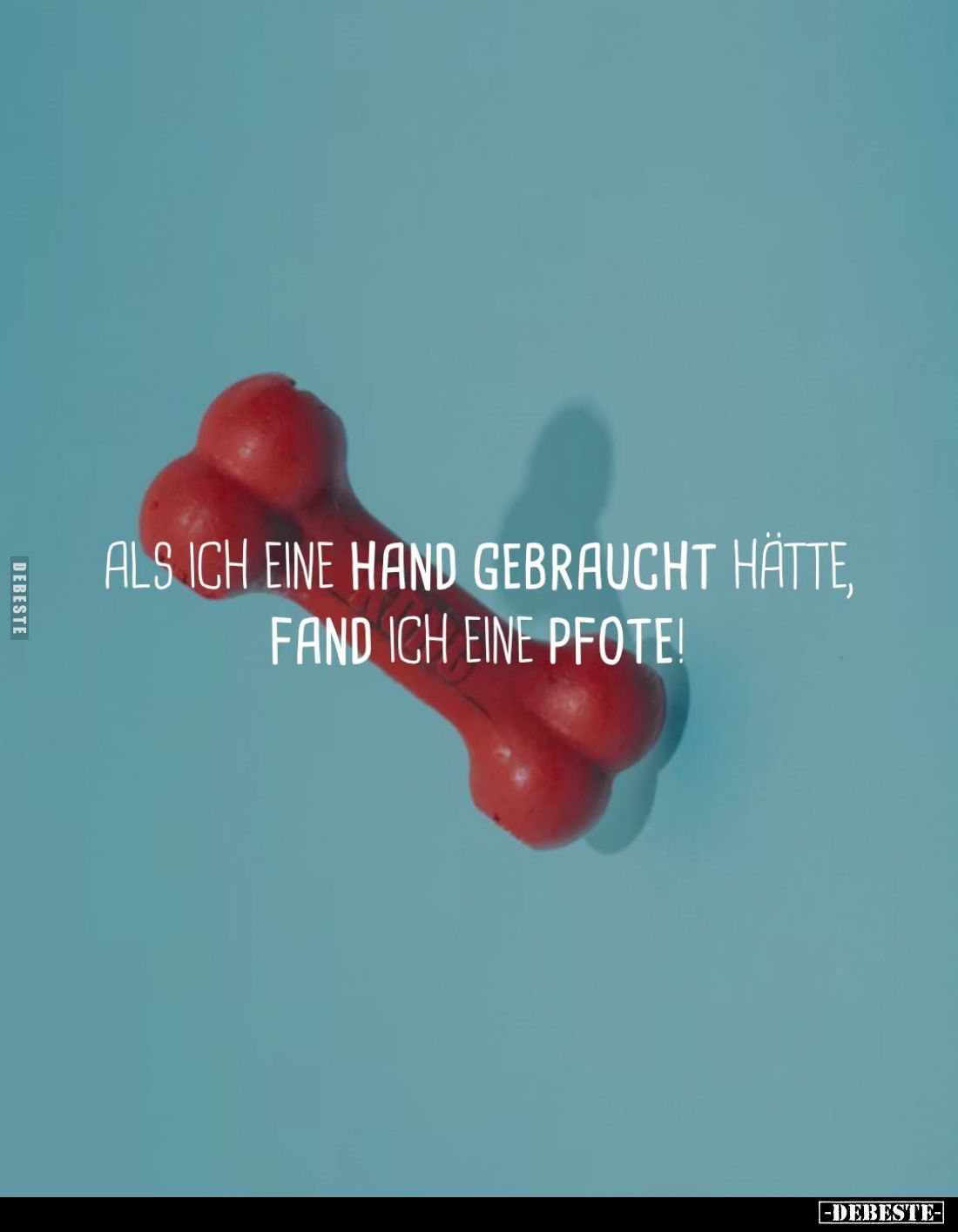 Als ich eine Hand gebraucht hätte, fand ich eine Pfote!