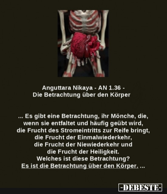 AN 1.36 - Die Betrachtung über den Körper - Lustige Bilder | DEBESTE.de