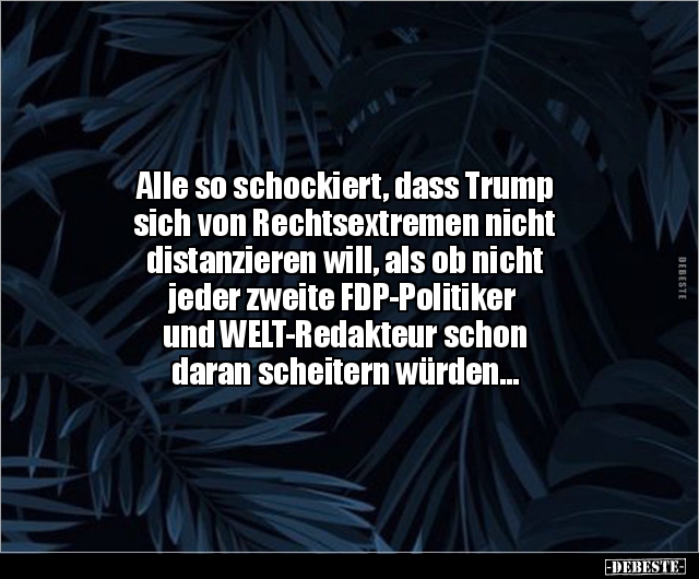 Alle so schockiert, dass Trump sich von Rechtsextremen.. - Lustige Bilder | DEBESTE.de