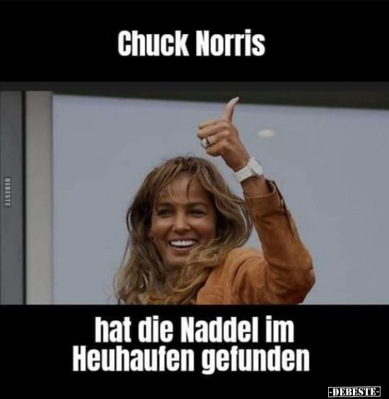 Chuck Norris hat die Naddel im Heuhaufen gefunden.. - Lustige Bilder | DEBESTE.de